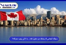 Your Criminal Record Could Prevent You from Entering Canada: What You Need to Know 11 Your Criminal Record Could Block Your Entry to Canada: What You Need to Know