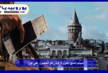 Reasons that may prevent entry to Turkey despite having a visa 4 Reasons that may prevent entry into Turkey despite having a visa