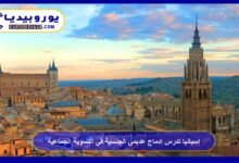 إسبانيا تدرس إدماج عديمي الجنسية في التسوية الجماعية 5 إسبانيا تدرس إدماج عديمي الجنسية في التسوية الجماعية
