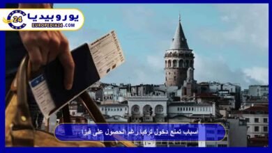 Reasons that may prevent entry to Turkey despite having a visa 1 Reasons that may prevent entry into Turkey despite having a visa