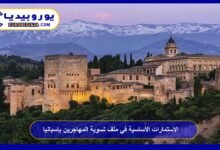 The essential forms in the migrant regularization file in Spain 11 The essential forms in the migrant regularization file in Spain