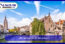 Brussels Implements New Fines for the LEZ System 12 Brussels-Adopts-New-Fines-for-the-LEZ-System