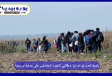 Belgium adjusts rules for housing asylum seekers with European protection 8 Belgium adjusts rules for housing asylum seekers with European protection