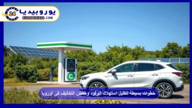 Simple steps to reduce fuel consumption and cut costs in Europe 4 Simple steps to reduce fuel consumption and cut costs in Europe