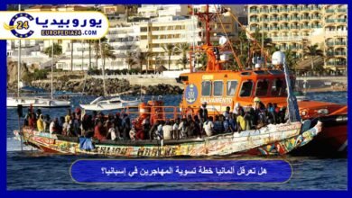 Is Germany obstructing Spain’s migrant regularization plan? 8 Will Germany obstruct Spain’s migrant regularization plan?