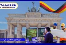 دليل المهن المطلوبة في ألمانيا 2026: أسهل الوظائف وفرص الهجرة المباشرة 38 المهن-المطلوبة-في-ألمانيا