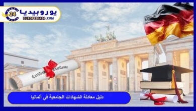 دليل معادلة الشهادات الجامعية في ألمانيا: الخطوات والشروط بالتفصيل 17 معادلة-الشهادات-الجامعية-في-ألمانيا