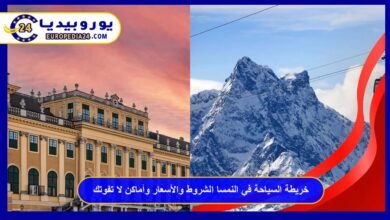 Austria Tourism Guide 2026: Requirements, Costs, and Must-Visit Places 21 Tourism in Austria