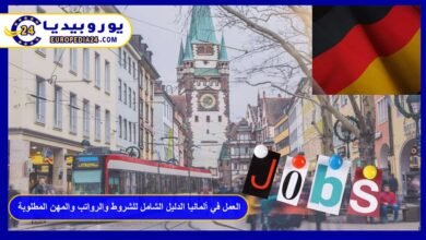 العمل في ألمانيا الدليل الشامل للشروط والرواتب والمهن المطلوبة 21 العمل-في-ألمانيا
