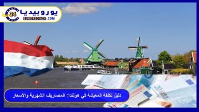 دليل تكلفة المعيشة في هولندا: المصاريف الشهرية والأسعار 5 تكلفة المعيشة في هولندا