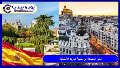 دليل السياحة في مدينة مدريد الأسبانية: خطتك الشاملة لزيارة عاصمة التاريخ والجمال 21 مدينة-مدريد-الأسبانية