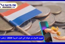 تحويل الأموال من هولندا إلى الدول العربية 2026: أرخص الطرق والرسوم 5 تحويل الأموال من هولندا إلى الدول العربية
