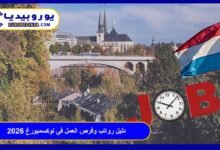 دليل رواتب وفرص العمل في لوكسمبورغ 2026: القطاعات والأسعار والتأشيرة 5 رواتب وفرص العمل في لوكسمبورغ