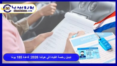 رخصة القيادة في هولندا
